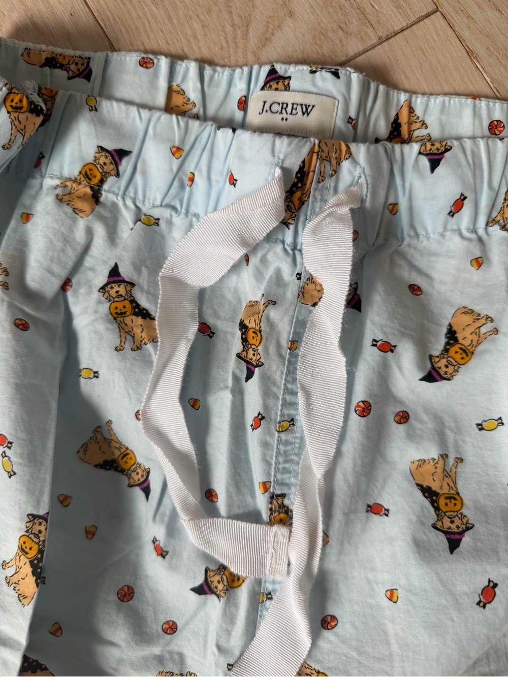 J.Crew Light Blue women’s Halloween Puppy Pajama Bottoms